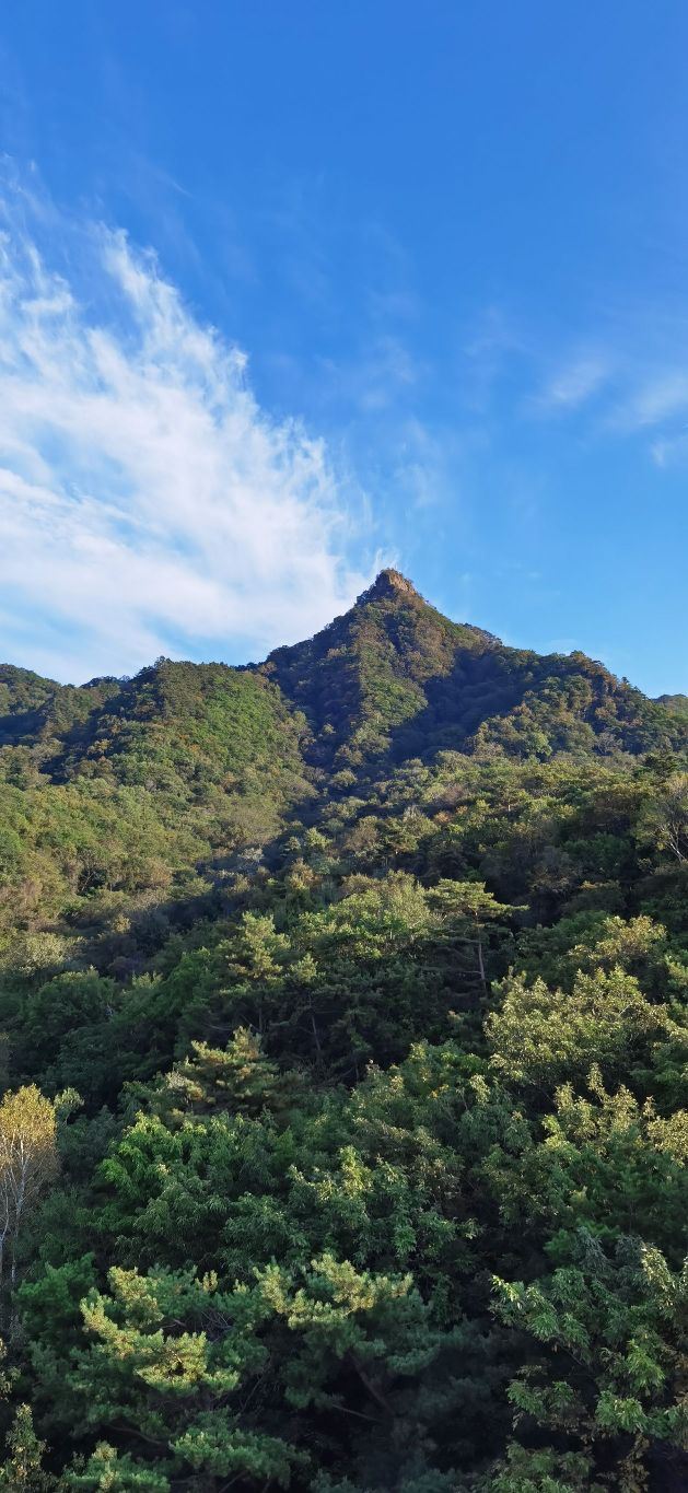 鸡冠山国家森林公园旅行图片 3