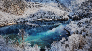 好消息！“冬游阿坝”优惠活动来袭，这些景区免门票……
