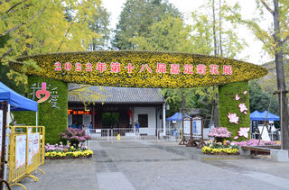 嘉定第18届菊花展