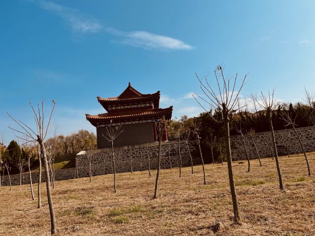 夏家河子海滨景区旅行图片 2