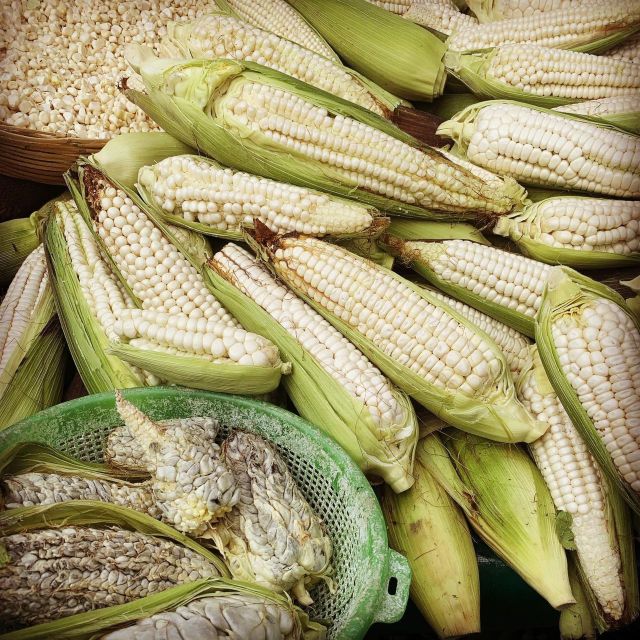 Xalisko Cocina Mexicana