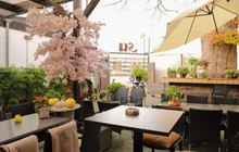 Restaurant Su餐厅图片
