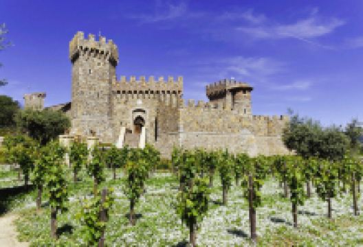 爱的城堡酒庄景点图片