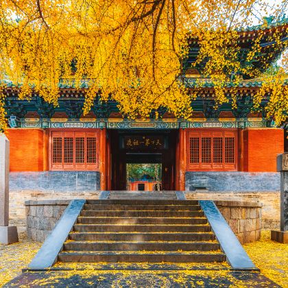 郑州+少林寺+少室阙+郑州黄河文化公园+卧龙岗+南阳府衙+南阳医圣祠+赊店古镇+山陕会馆+神农坛风景区+天生桥+官门山+神农顶风景区+神农谷+板壁岩9日8晚私家团