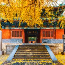 少林寺图片