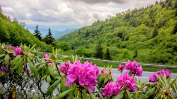 Great Smoky Mountains National Park