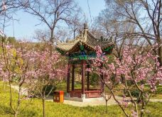 中国·周原-岐山