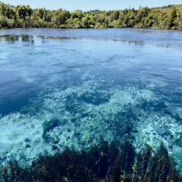 新西兰北岛+罗托鲁瓦+陶波6日5晚拼小团
