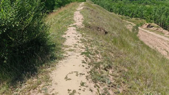 戰國秦長城（於崾峴段）