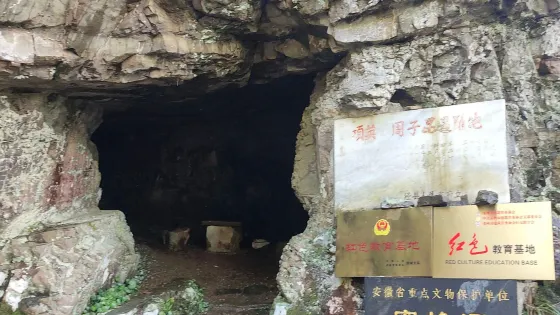 蜜蜂洞