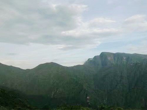 梵净山公园旅行图片 3