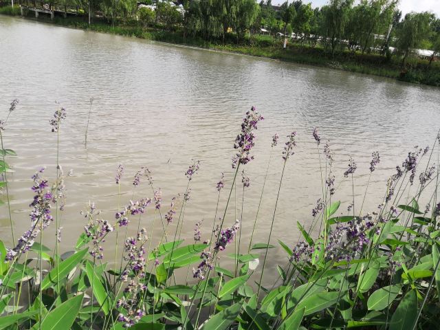 水上公园旅行图片 1