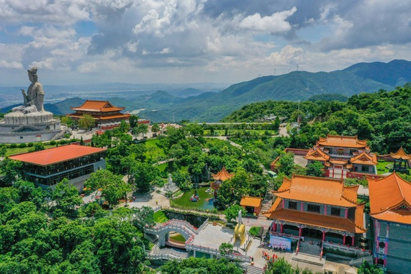 赏景品荔枝，在东莞观音山的清新空气中感受荔韵飘香