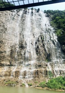 黄花溪-青州-174449060