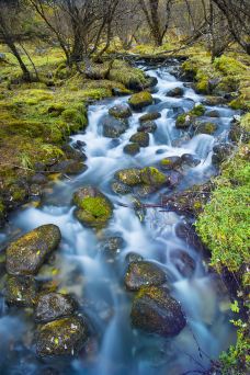 毕棚沟娜姆湖森林暖池温泉-理县