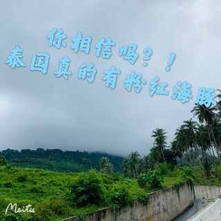 泰国小众秘境 卡农Khanom 寻找粉红海豚之旅 全网最完整攻略 没有之一