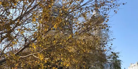 Schröcken - Mariä Himmelfahrt