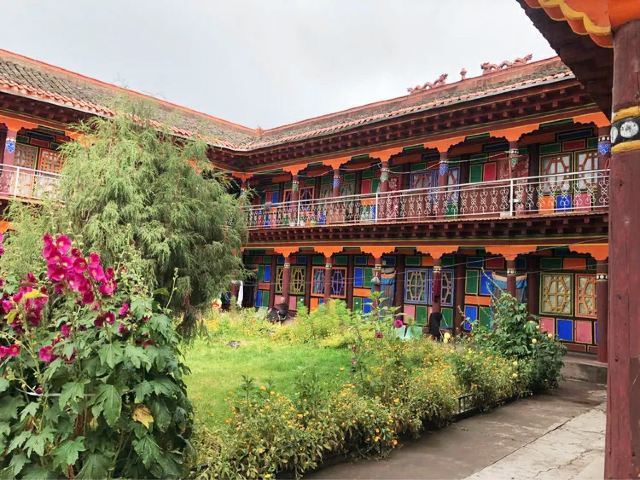大金寺旅行图片 6