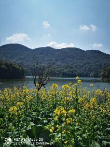 石门国家森林公园-广州-随风227799