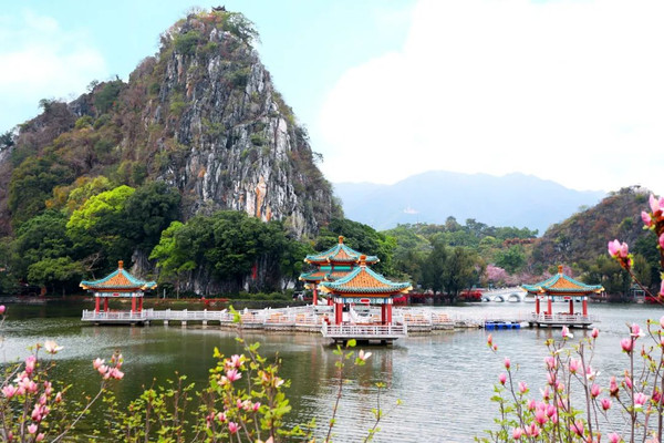 离广州高铁仅半小时,媲美无锡鼋头渚赏樱,宫粉紫荆花海别错过