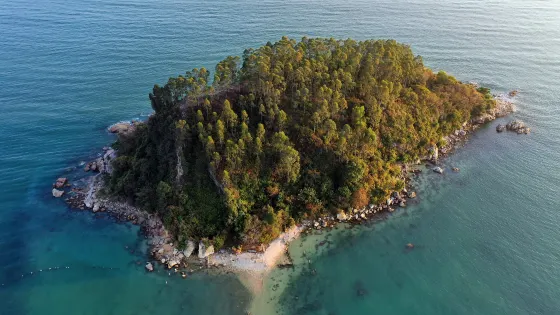 虎洲島