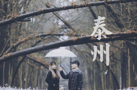 江苏两日游，兴化不仅有千垛油菜花，还有云雾缭绕的李中水上森林