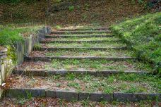 龙岗八仙岭公园-深圳