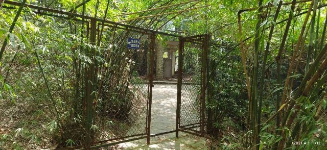 檀香山公园旅行图片 3