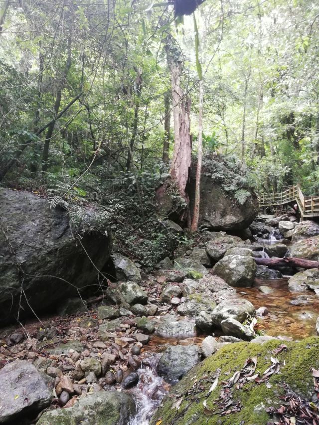 海南热带雨林国家公园五指山景区旅行图片 3
