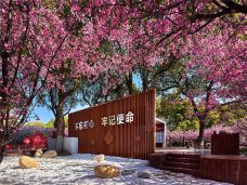 苏州中国花卉植物园-苏州-C-IMAGE