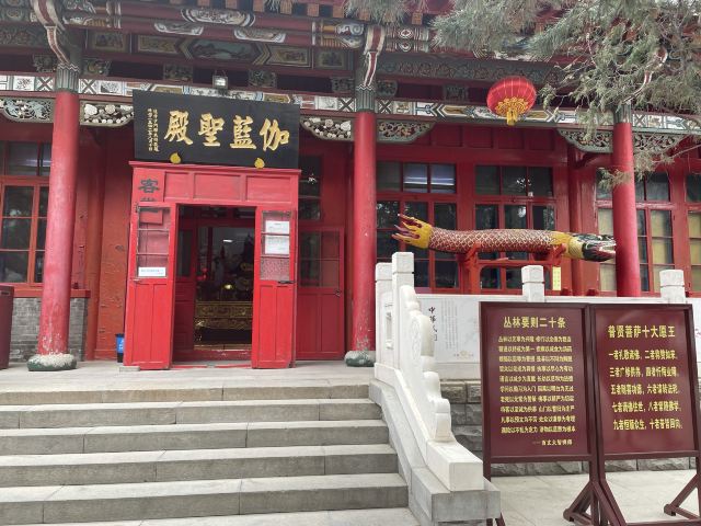 护国般若寺旅行图片 3