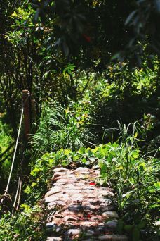 宋街-武夷山-Ddr-阿鹏