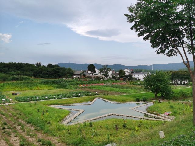 佘村明清代建筑群旅行图片 5