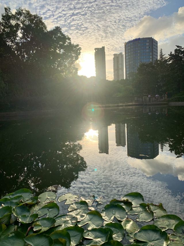 江浦公园旅行图片 3
