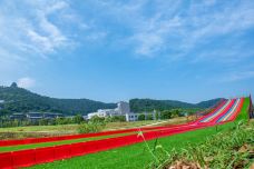 苏州海洋馆-苏州-YoYo_6G2A8G3X