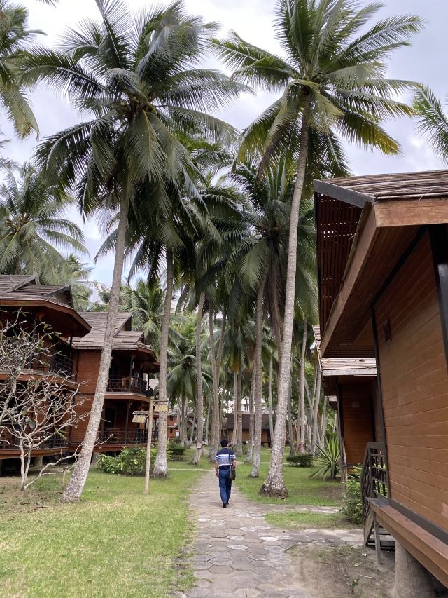 东郊椰林风景名胜区旅行图片 14