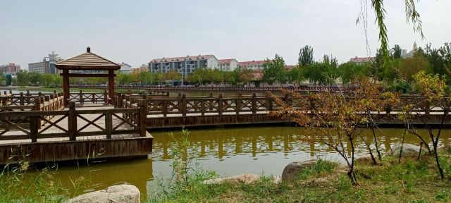 海宝公园旅行图片 3