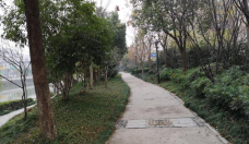 远洋心里-中央公园-杭州-C-IMAGE