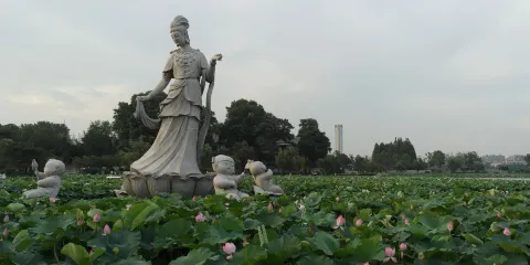 汝南縣蓮花廣場