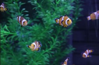 浩海立方·海滨城一日游