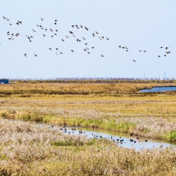 上海+崇明岛2日1晚自由行