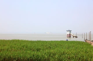 “足不出沪”之崇明篇