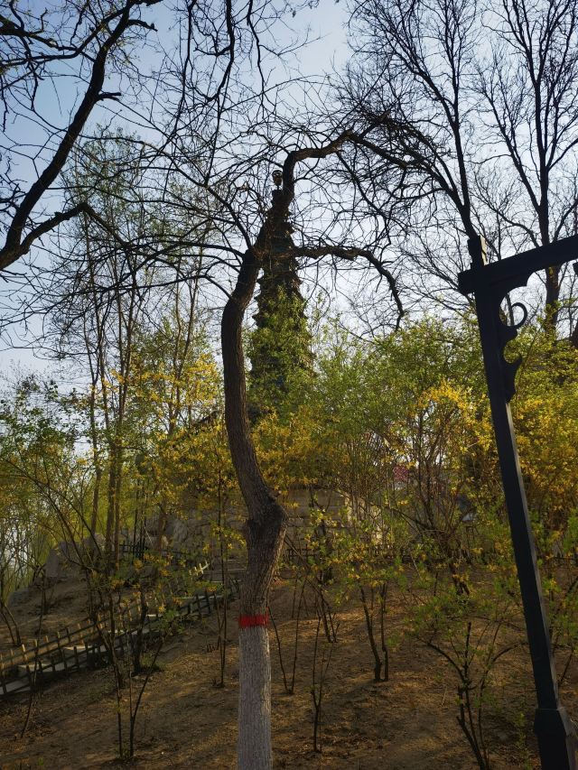 文瀛公园旅行图片 3