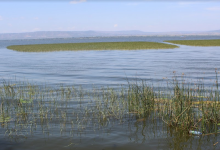 阿瓦萨湖景点图片