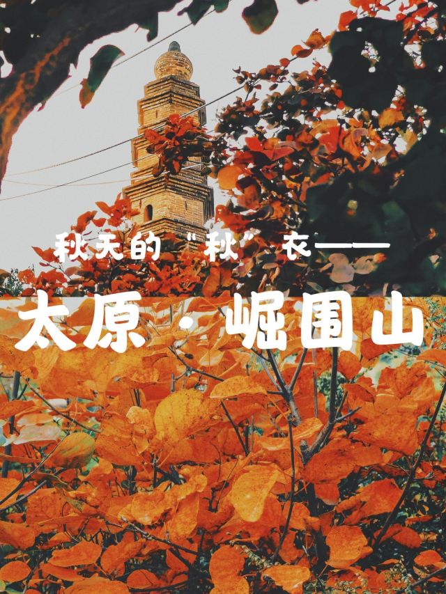 崛围山旅行图片 1