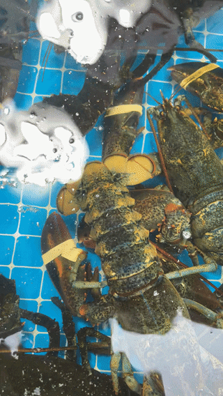 学生党·厦门四天三晚·旅游攻略