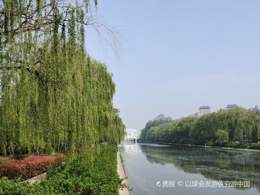 清潩河千亩游园