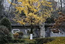 小华山公园景点图片