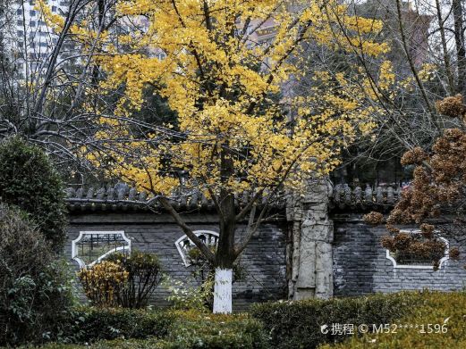 小华山公园