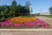 满洲里西山植物园景点图片